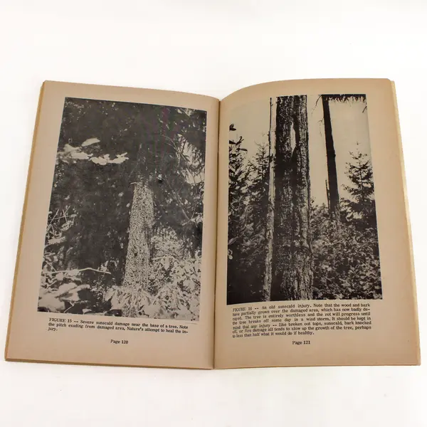 Tree Farmer's Handbook Ward K. Richardson 1965 Paperback
