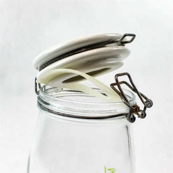 Glass Treat Jar w/ Ceramic Hinged White Lid 9" Cookie Canister