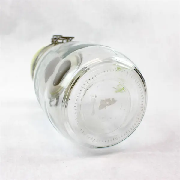Glass Treat Jar w/ Ceramic Hinged White Lid 9" Cookie Canister