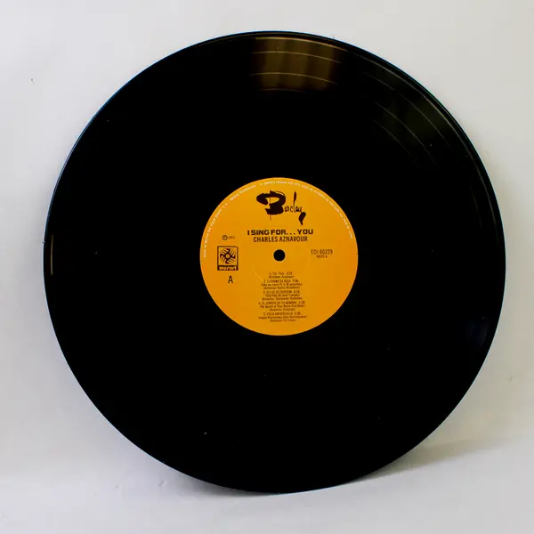 Charles Aznavour - I Sing For... You 12" Vinyl Record