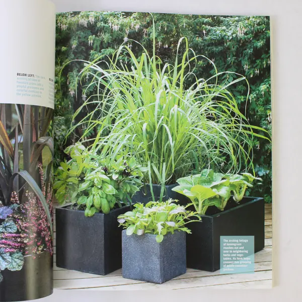 Container Gardening A Sunset Outdoor Design & Build Guide Hank Jenkins 2010 PB