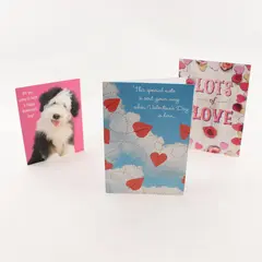 Vintage Hallmark Valentines Birthday Card with Envelope
