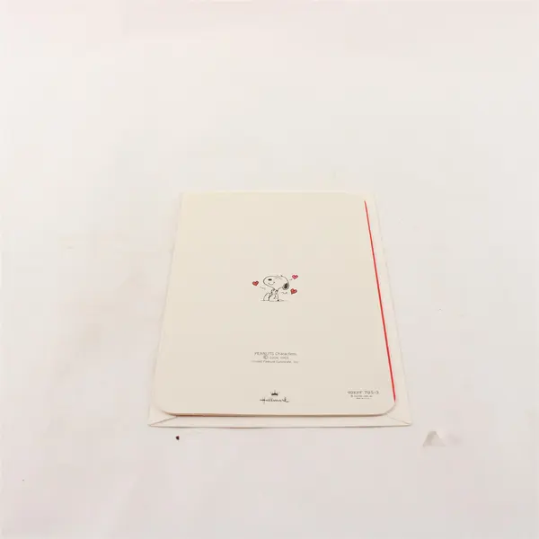 VTG Hallmark Peanuts Snoopy & Woodstock Friendship Romance Greeting Card Unused