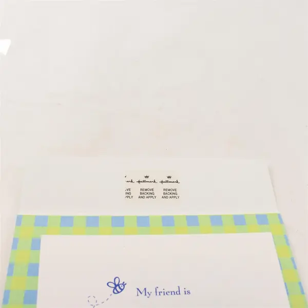 Hallmark Disney Winnie The Pooh and Piglet Friendship Day Greeting Card Unused