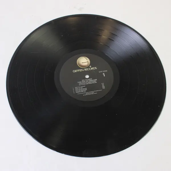 Ric Ocasek - This Side Of Paradise - 12" Vinyl Record