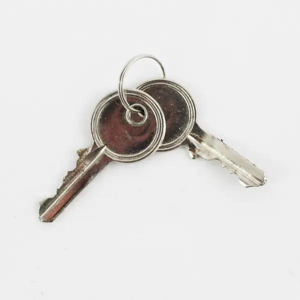 Heavy Duty Hardened Stainless Steel 2-3/4” Disc Lock With 1 Key