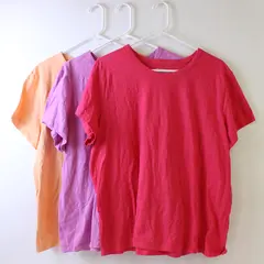 Lot of 3 Time And Tru Pink and Orange T-Shirts Women's XXXL 22
