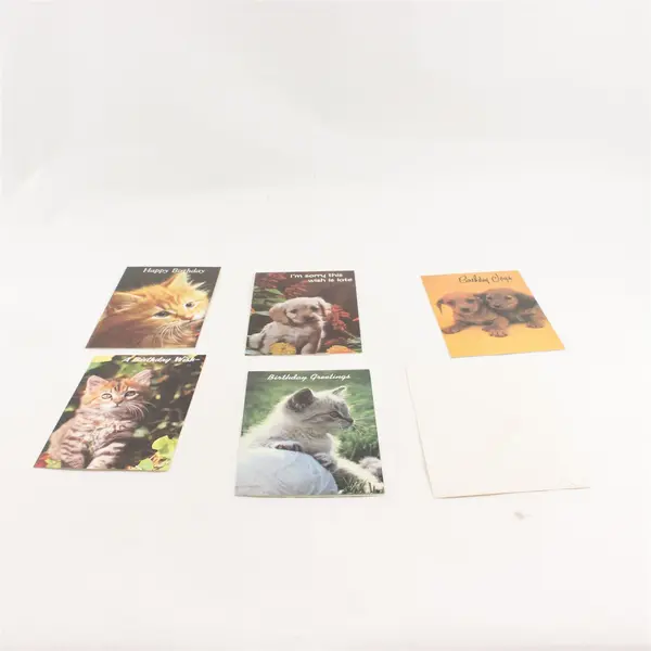 Lot of 9 Vintage Fantusy Puppy and Kitten Birthday Greeting Cards Unused