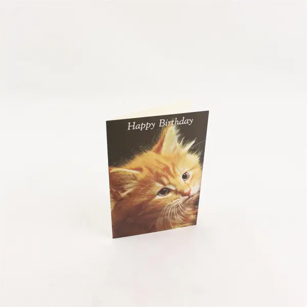 Lot of 9 Vintage Fantusy Puppy and Kitten Birthday Greeting Cards Unused