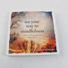 See Your Way to Mindfulness by David Schiller 2016 First Edition Hardcover DJ VG