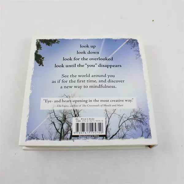 See Your Way to Mindfulness by David Schiller 2016 First Edition Hardcover DJ VG
