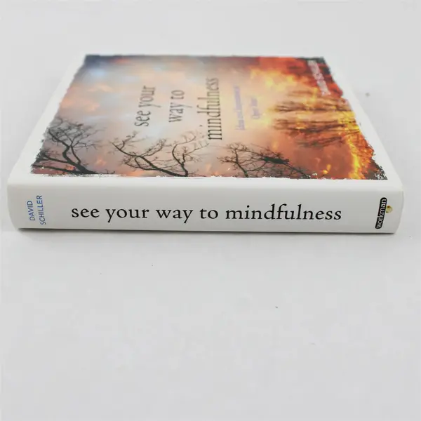See Your Way to Mindfulness by David Schiller 2016 First Edition Hardcover DJ VG