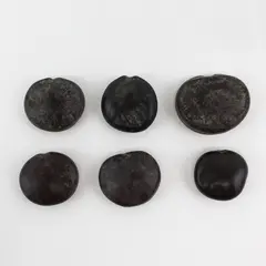 Lot of 6 Natural Sea Heart Beans "Lucky Beans" 1.5"-2"+