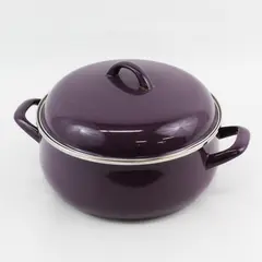 Vitrex Spain Eggplant Purple Enamel Steel 10.5 Inch Stock Pot With Matching Lid