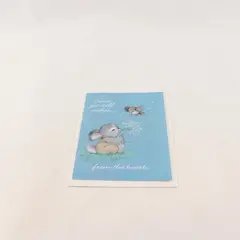 Vintage American Greetings Bunny and Bird Get Well Card Unused