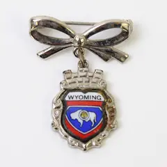 Vintage Metal Pin with Wyoming Buffalo Crest Emblem 
