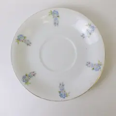 Vintage White Porcelain Saucer Blue Floral Silver Border 5.5"