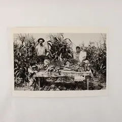 VTG Fotofolio Marinette WI Menomonee River Boom Co. Garden Postcard UNPOSTED