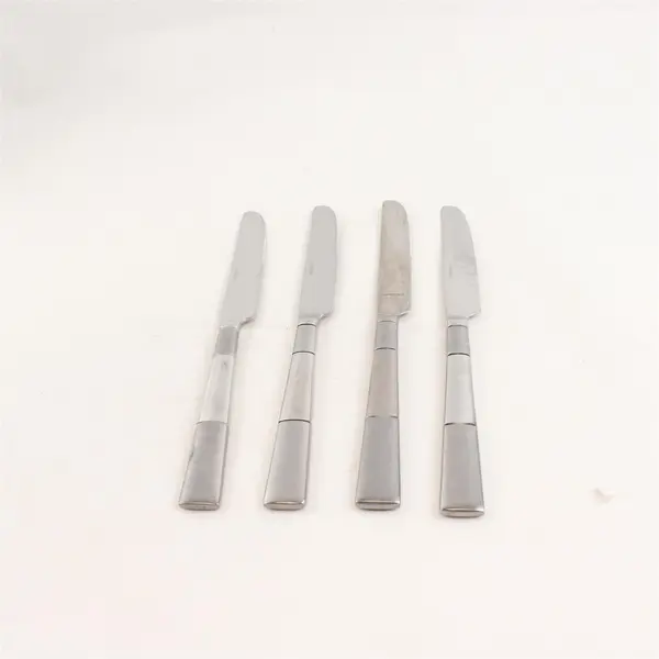 Lot of 4 Oneida Silver Echo Pattern 18/10 Stainless Dinner Knives 9.38" Good