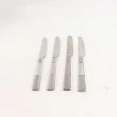 Lot of 4 Oneida Silver Echo Pattern 18/10 Stainless Dinner Knives 9.38" Good