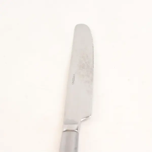Lot of 4 Oneida Silver Echo Pattern 18/10 Stainless Dinner Knives 9.38" Good