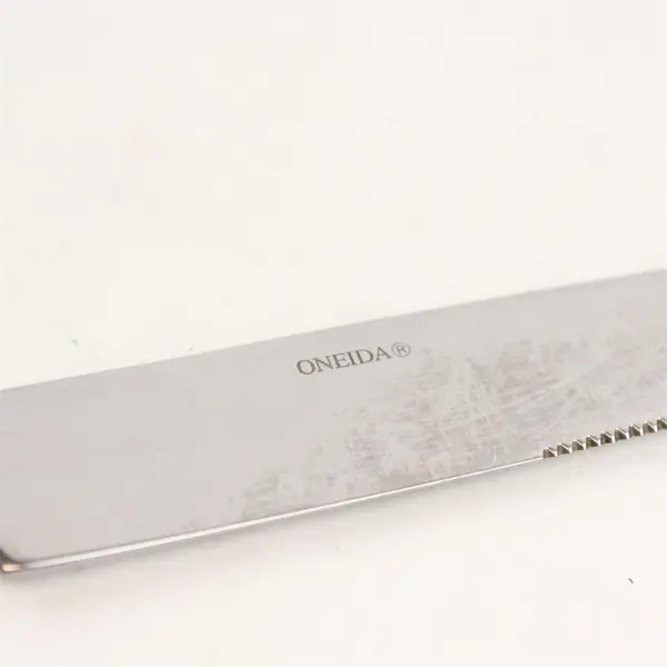 Lot of 4 Oneida Silver Echo Pattern 18/10 Stainless Dinner Knives 9.38" Good