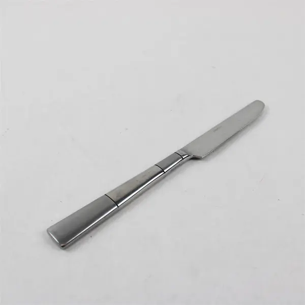 Lot of 4 Oneida Silver Echo Pattern 18/10 Stainless Dinner Knives 9.38" Good