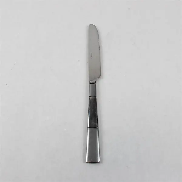 Lot of 4 Oneida Silver Echo Pattern 18/10 Stainless Dinner Knives 9.38" Good