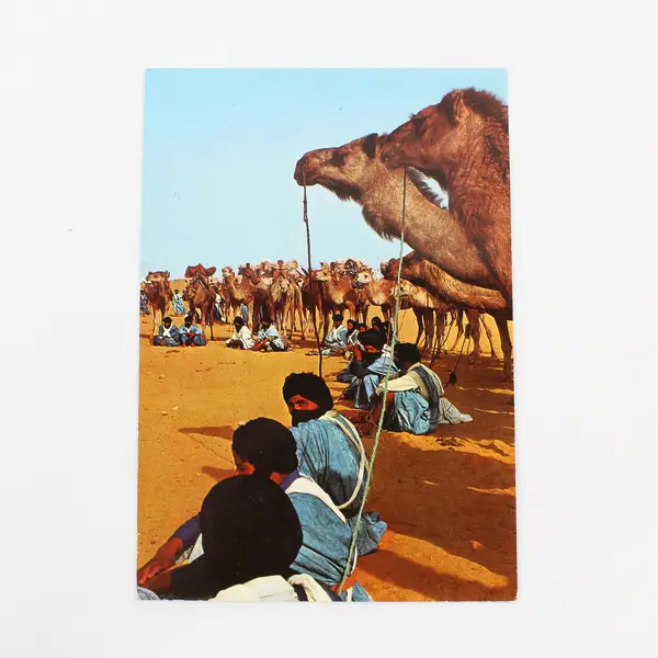 Lot Of 3 Vintage People Of Morocco Postcards Unposted