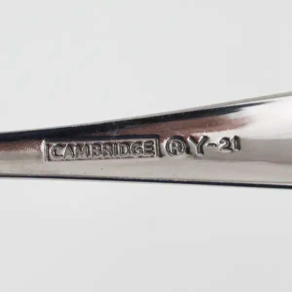 Lot Of 2 Cambridge Silver Unknown Rare Pattern Stainless Oval Soup Spoons 6.75"
