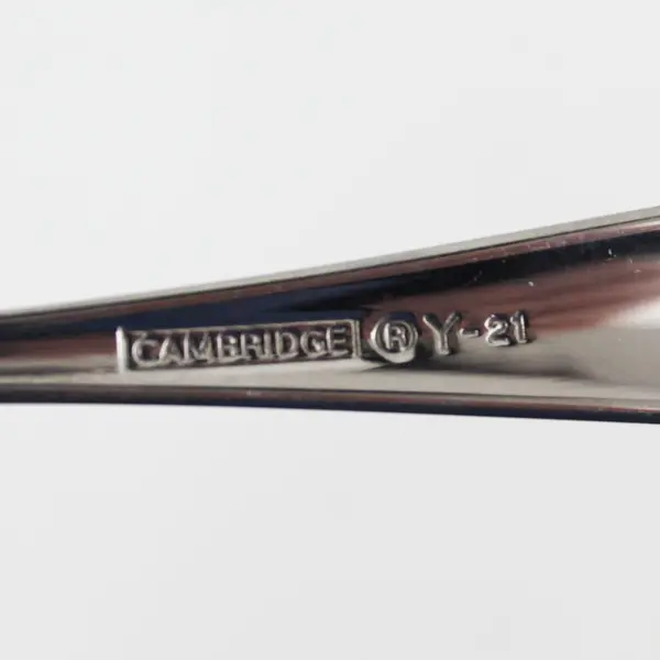 Lot Of 2 Cambridge Silver Unknown Rare Pattern Stainless Dinner Fork 6.75" VG