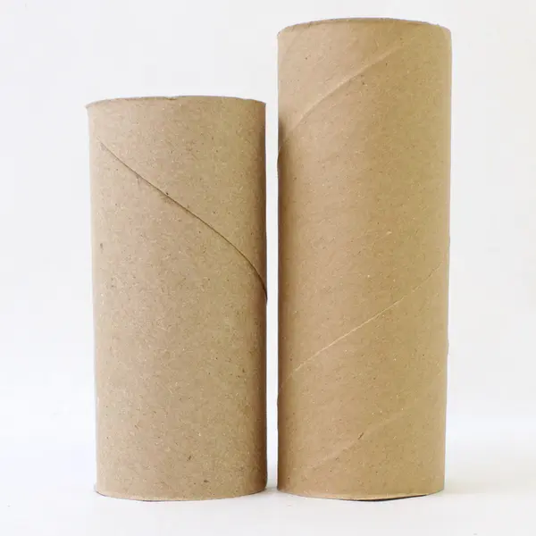 Lot of 57 Toilet Paper & Paper Towel Rolls Cardboard Tubes DIY Crafts