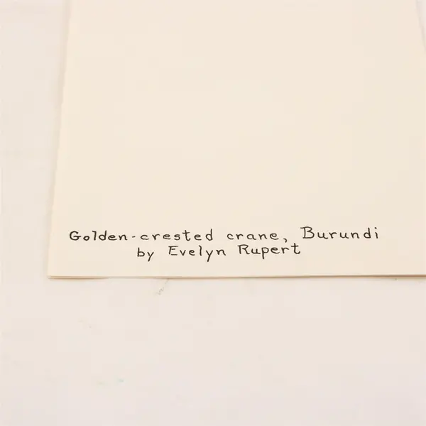 Lot of 5 Blank Notecards East African Illustrations by Evelyn Rupert Unused