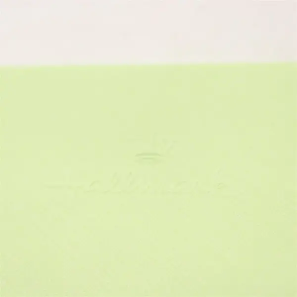 Hallmark Frog-Themed Christmas Greeting Card for Mom Unused