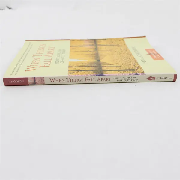 When Things Fall Apart: Heart Advice for Difficult Times - Pema Chodron