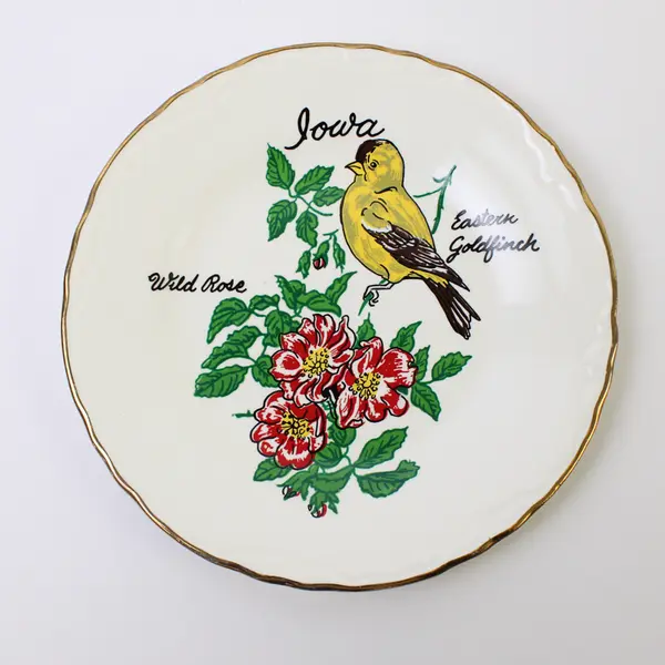 Vintage Wall Lake Iowa Souvenir Plate Eastern Goldfinch Gold Trim