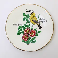 Vintage Wall Lake Iowa Souvenir Plate Eastern Goldfinch Gold Trim