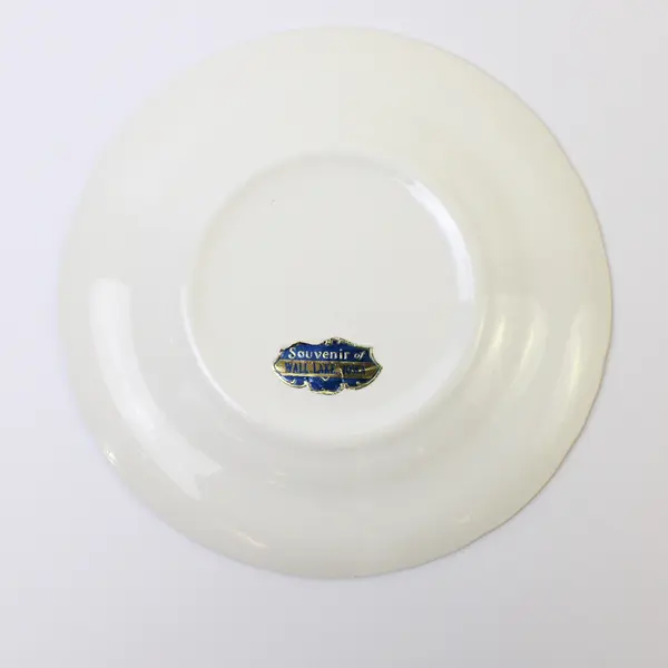 Vintage Wall Lake Iowa Souvenir Plate Eastern Goldfinch Gold Trim