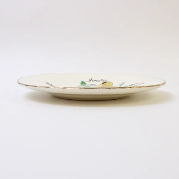 Vintage Wall Lake Iowa Souvenir Plate Eastern Goldfinch Gold Trim