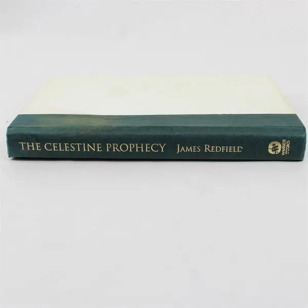 The Celestine Prophecy James Redfield 1993 Hardcover Acceptable