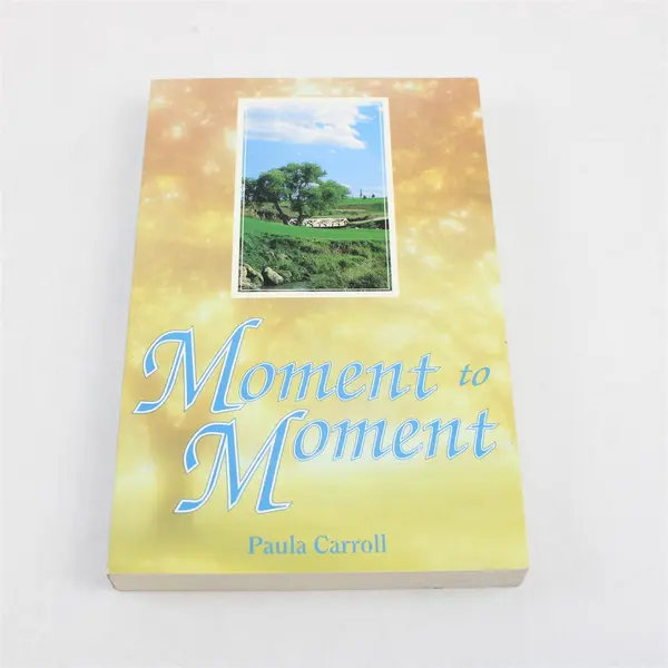 Moment to Moment by Paula Carroll Paperback 