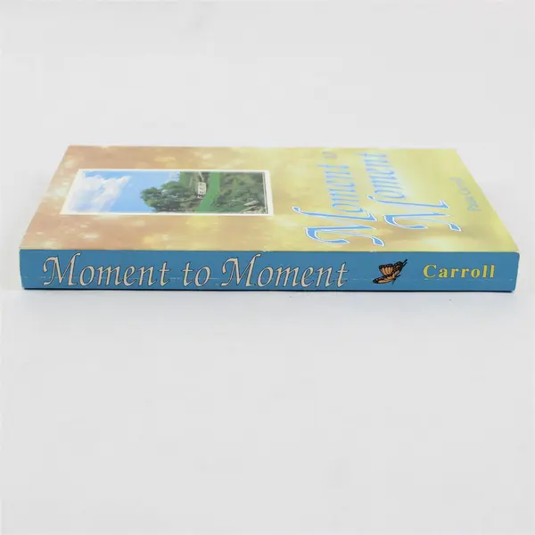 Moment to Moment by Paula Carroll Paperback 