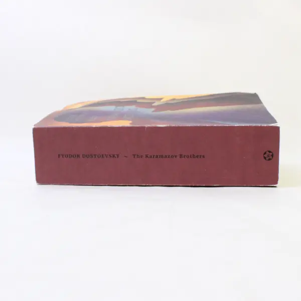 The Karamazov Brothers by Fyodor Dostoevsky 2009 PB Translated From Russian Good