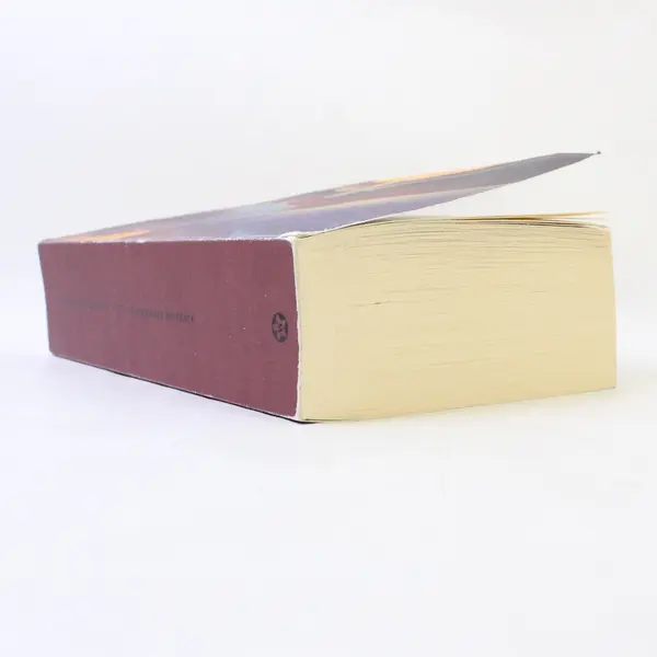 The Karamazov Brothers by Fyodor Dostoevsky 2009 PB Translated From Russian Good