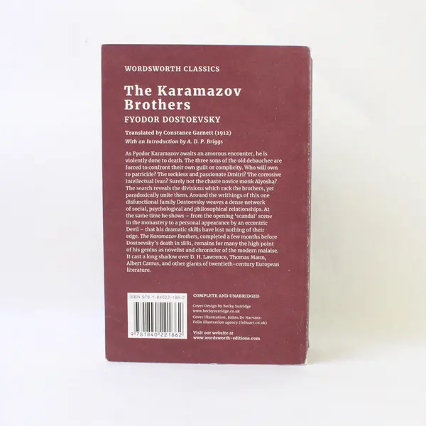 The Karamazov Brothers by Fyodor Dostoevsky 2009 PB Translated From Russian Good