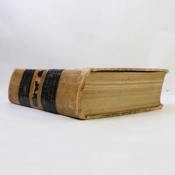 A System of Genito-Urinary Diseases Syphilology and Dermatology 1894 HC Vol II