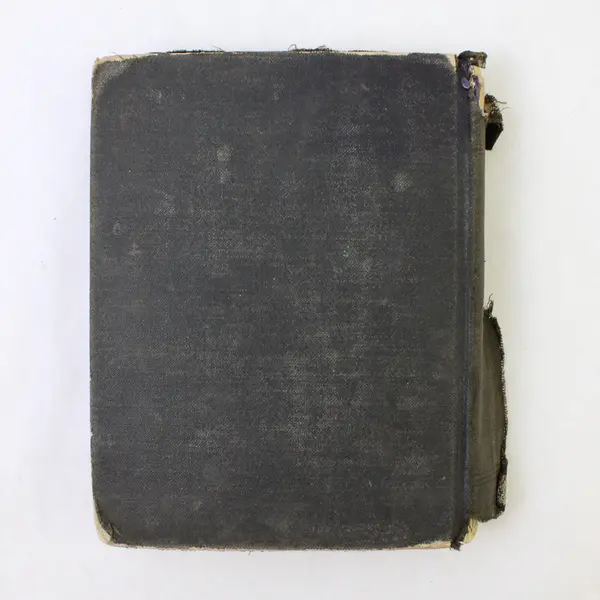 Antique Webster's Common School Dictionary of the English Language 1892  HC 