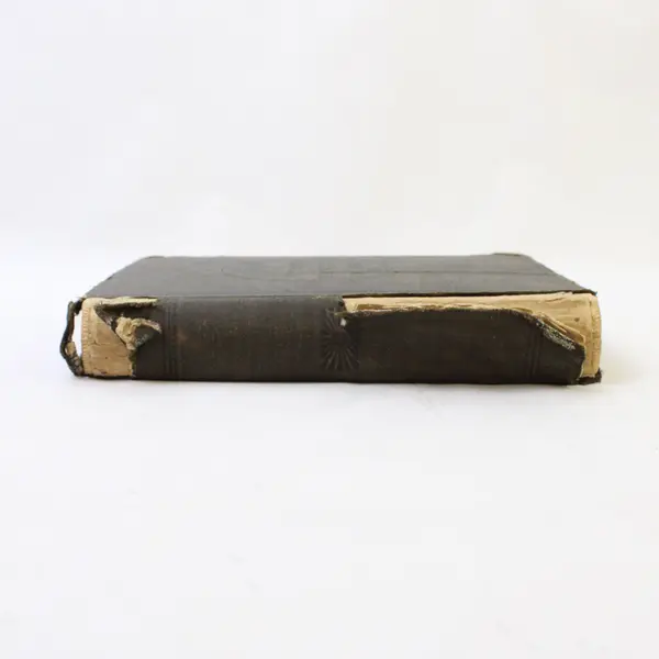 Antique Webster's Common School Dictionary of the English Language 1892  HC 