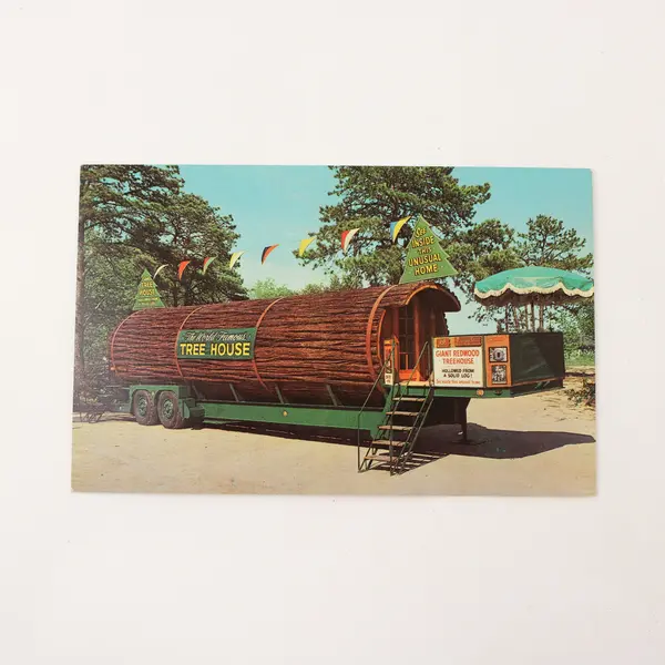 Vintage World Famous Redwood California Tree House Postcard