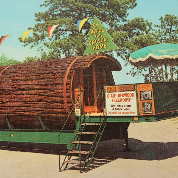 Vintage World Famous Redwood California Tree House Postcard